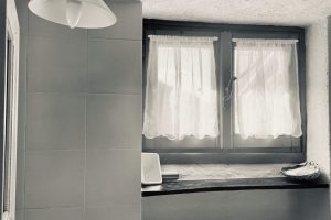 Bathroom_window