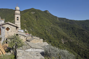 Glori_the tower_nature