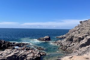 IMG_0143
